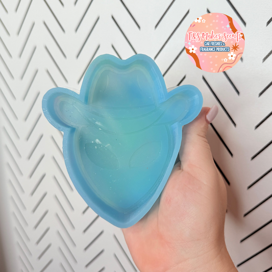 CUSTOM- Alien Cowboy