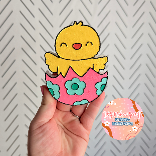 CUSTOM- Chick in egg