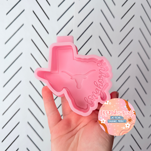 CUSTOM- Longhorn Texas