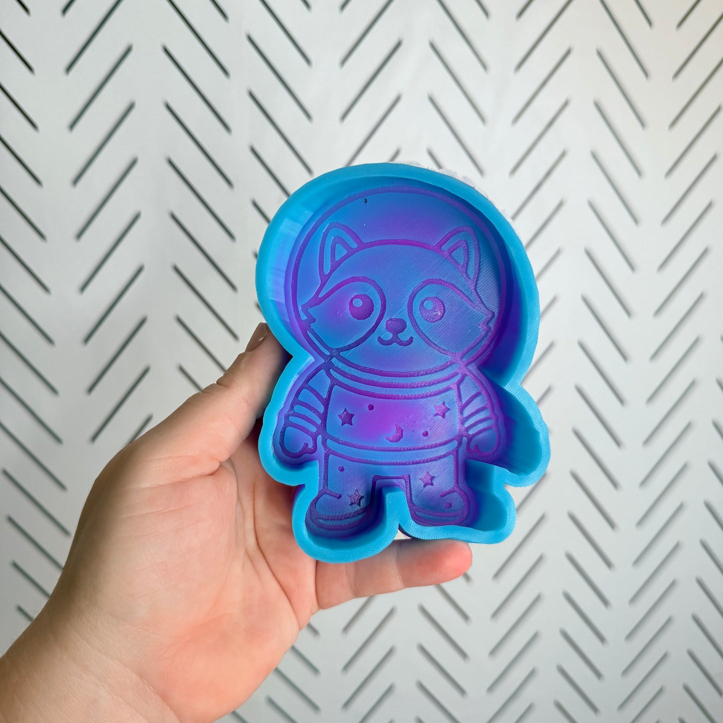 CUSTOM- Racoon Astronaut