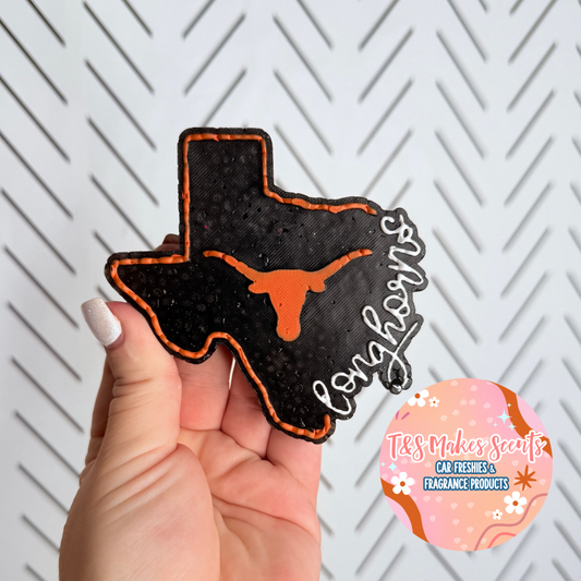 CUSTOM- Longhorn Texas