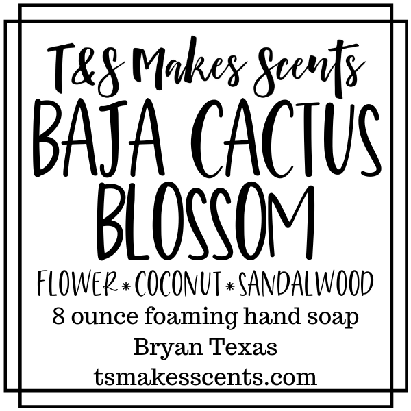 Baja Cactus Blossom