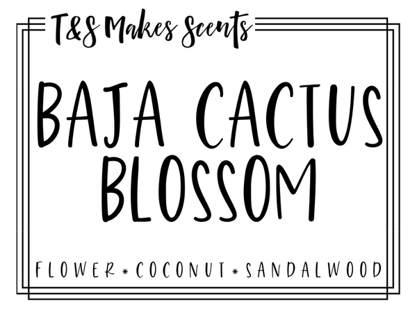 Baja Cactus Blossom